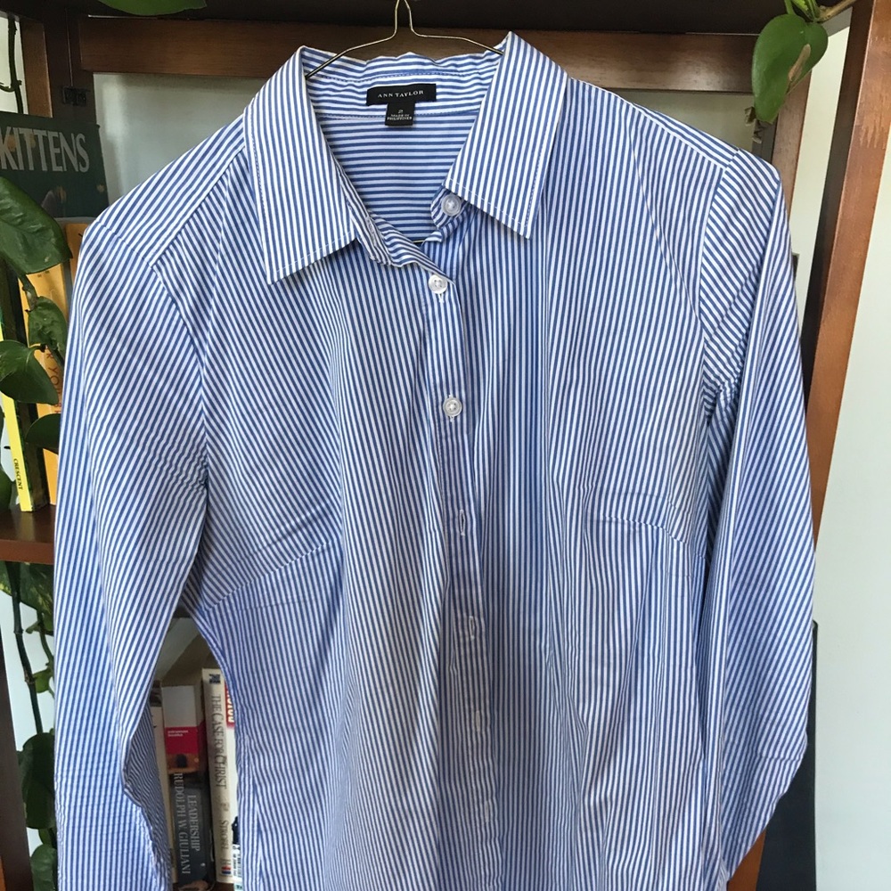 Ann Taylor dress shirt, blue and white pinstripes